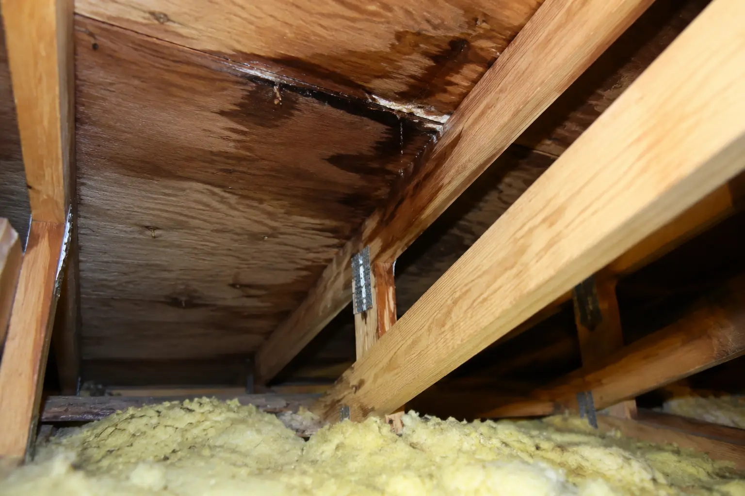 Educational example of moisture visible on roof decking from inside an attic